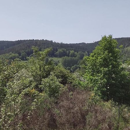 Sessles Waldhaeusschen Dietzhausen Suhl Buitenkant foto