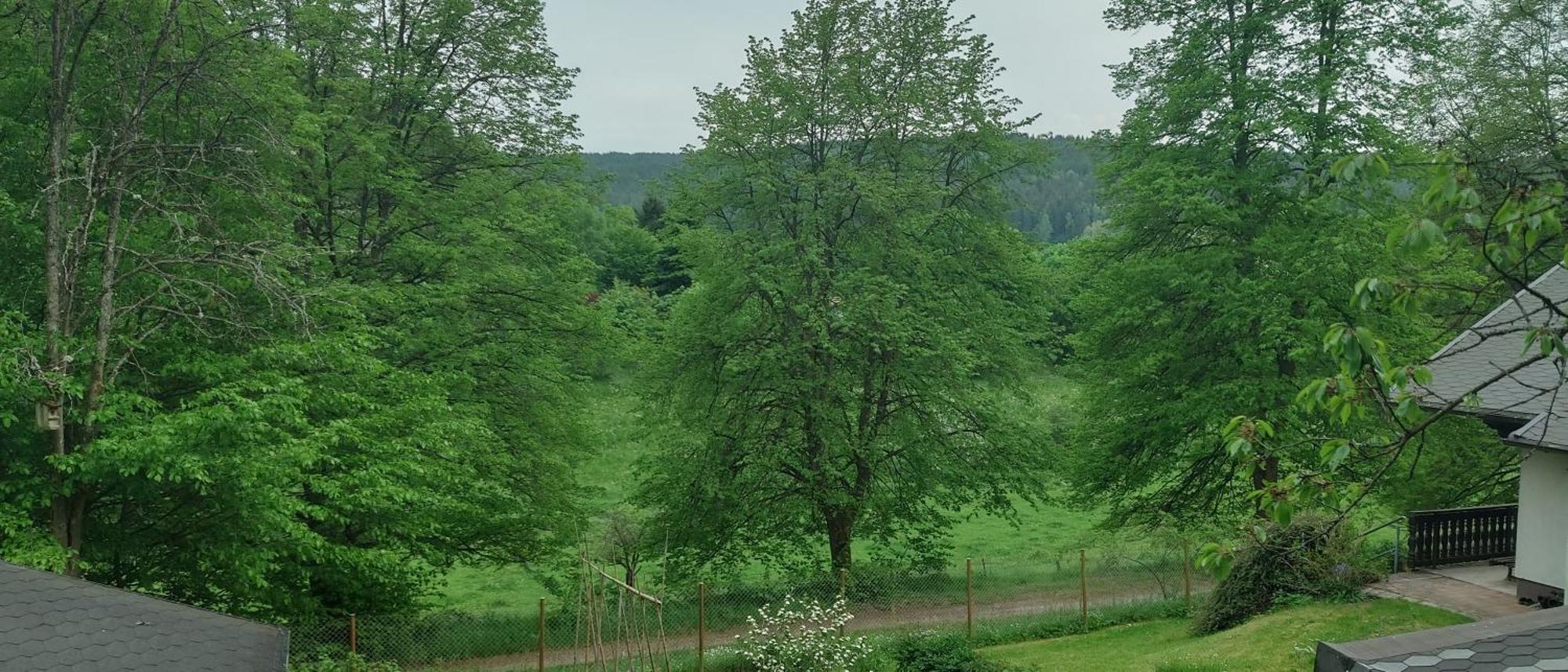 Sessles Waldhaeusschen Dietzhausen Suhl Buitenkant foto