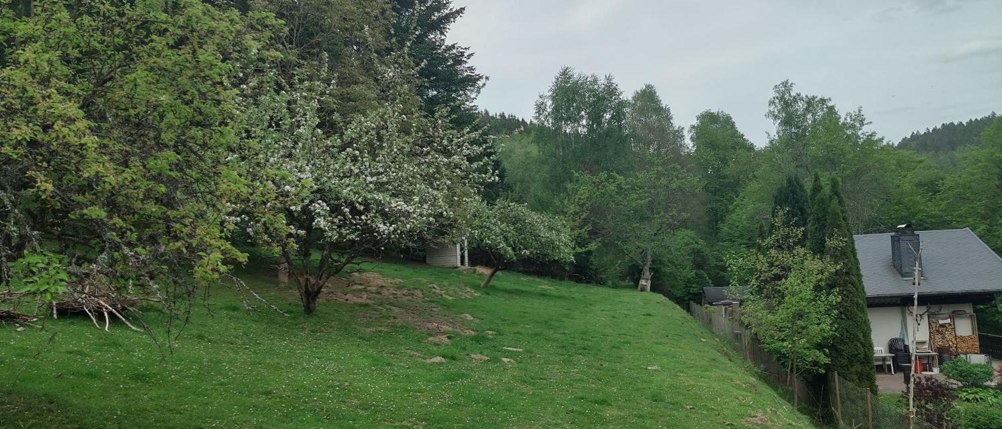Sessles Waldhaeusschen Dietzhausen Suhl Buitenkant foto