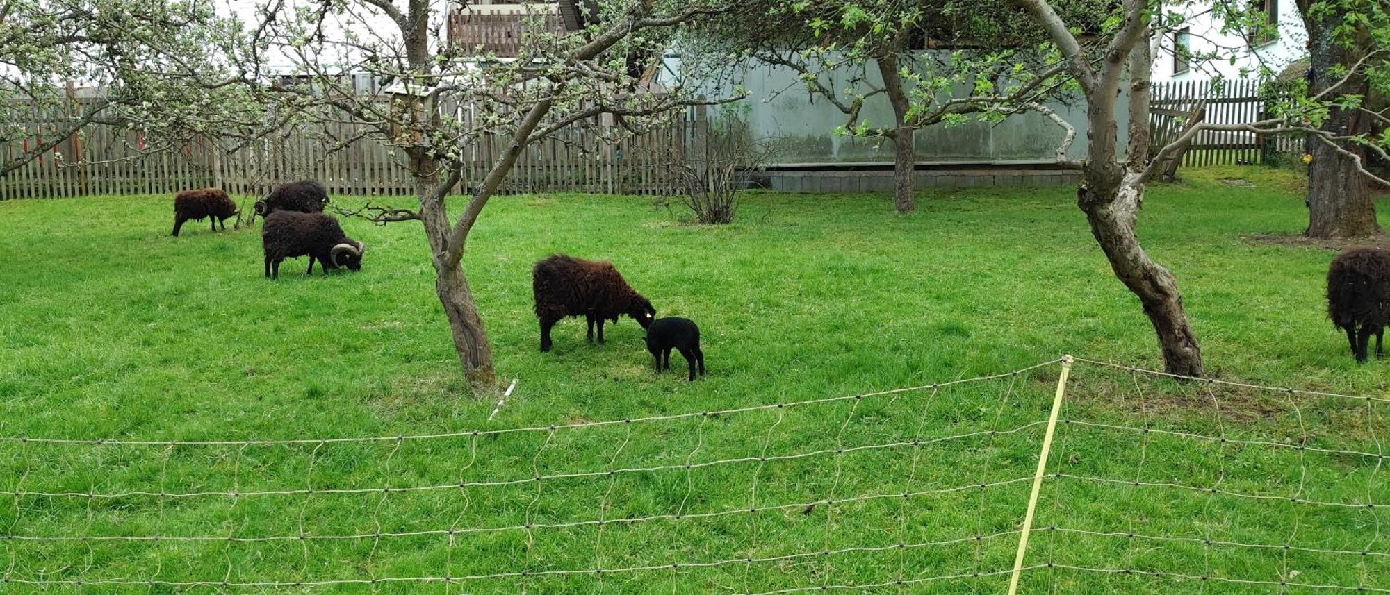 Sessles Waldhaeusschen Dietzhausen Suhl Buitenkant foto