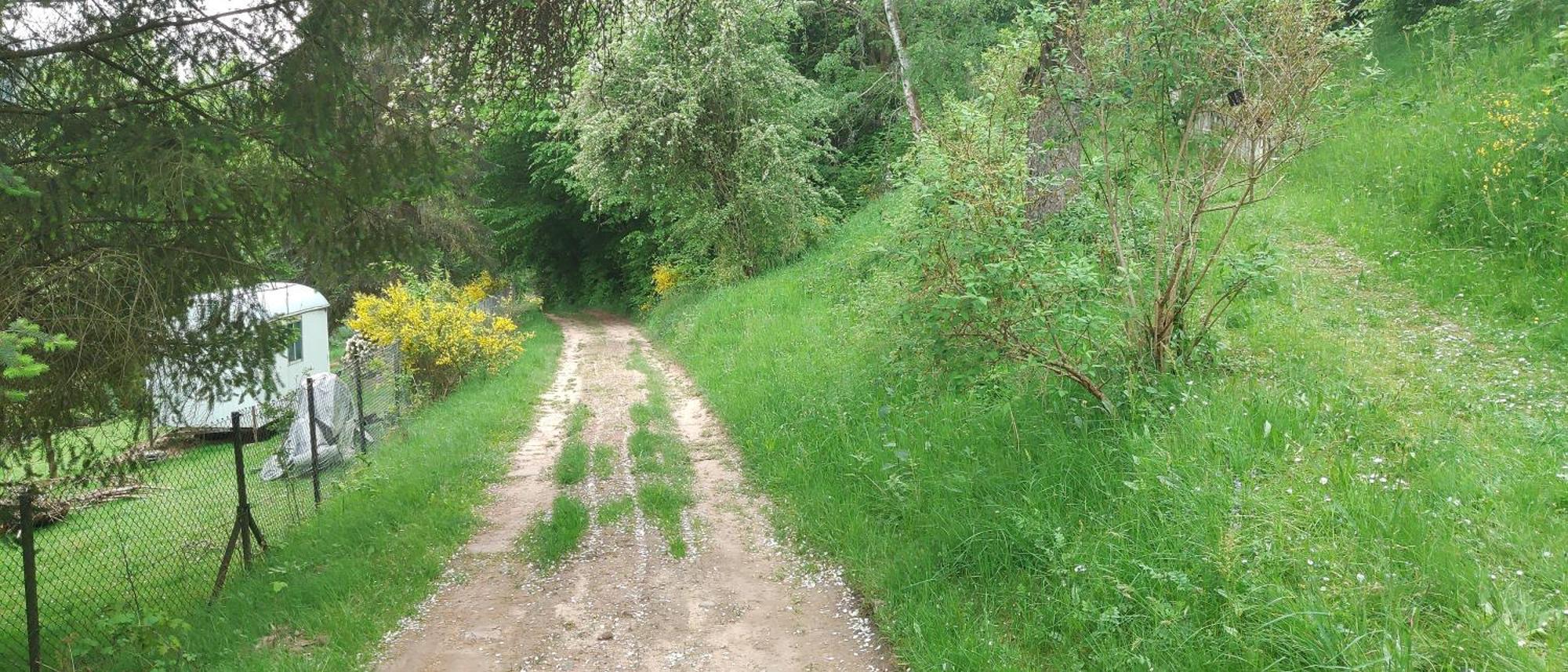 Sessles Waldhaeusschen Dietzhausen Suhl Buitenkant foto