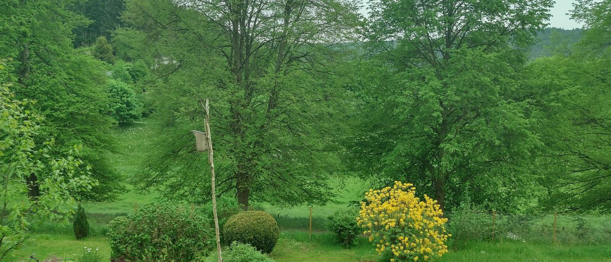 Sessles Waldhaeusschen Dietzhausen Suhl Buitenkant foto